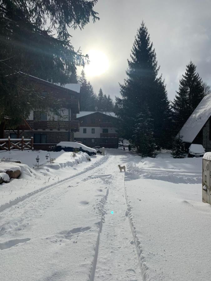 Lucnica Apartments Tale Dış mekan fotoğraf